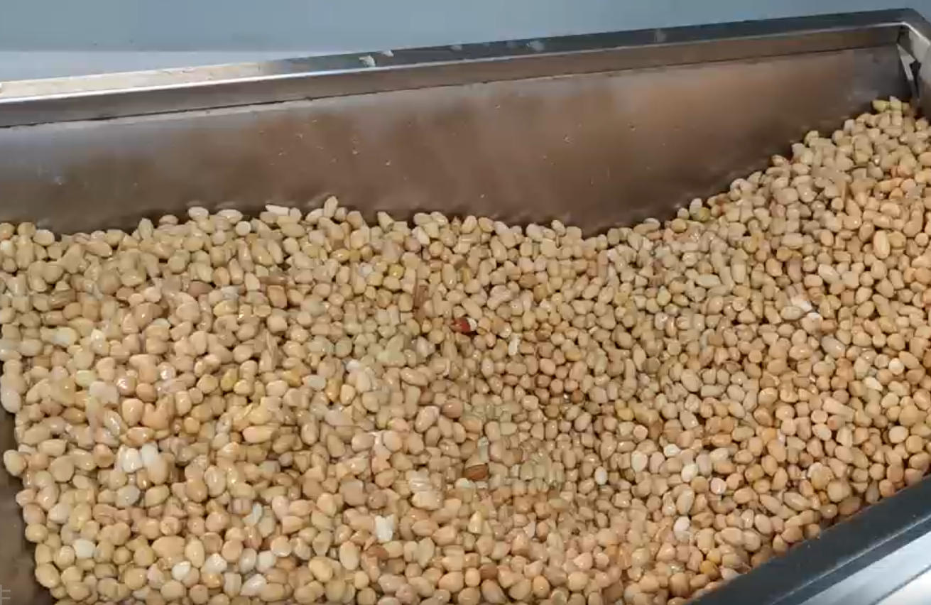 Vacuum packaging machine (peanuts)